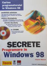 SECRETE PROGRAMARE IN WINDOWS 98 - Clayton Walnum foto