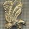 995 INSIGNA DE REVER PENTRU AVIATORI -STRAINA