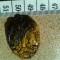 pandant ochi de tigru sau tiger eye gaurit