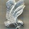 994 INSIGNA DE REVER PENTRU AVIATORI -STRAINA