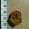 pandant ochi de tigru sau tiger eye gaurit