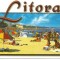 (A) carte postala(ilustrata) -LITORAL