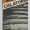 Calatoria - Dumitru Radu Popa
