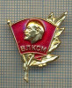 1031 INSIGNA - LENIN - URSS