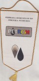 bnk div Fanion PETROM