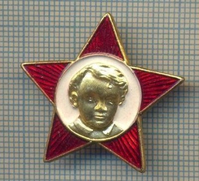 1021 INSIGNA - LENIN COPIL -ORGANIZATIE DE COPII - URSS -VARIANTA AURIE foto