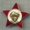 1021 INSIGNA - LENIN COPIL -ORGANIZATIE DE COPII - URSS -VARIANTA AURIE