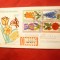 Plic FDC - Flora 1976 Berlin W