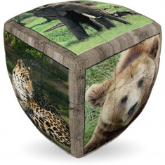 V-Cube Animale salbatice foto