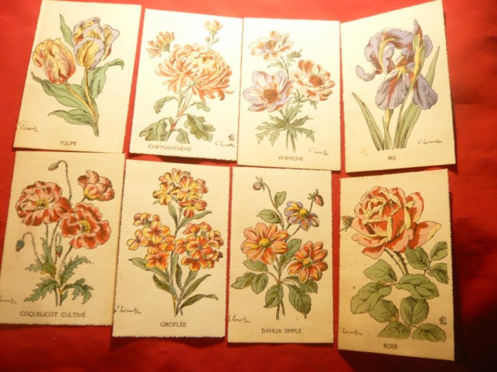 Set 8 Ilustrate litografii - Flori -semnate E. Lorentz