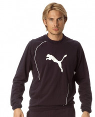 BLUZA SOLEX PUMA MENS FOUNDATION SWEAT black foto