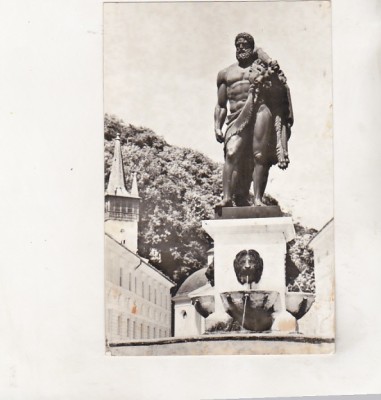 bnk cp Baile Herculane - Statuia lui Hercule - circulata foto