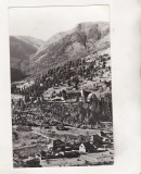 bnk cp Borsa - Vedere - circulata