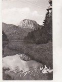 Bnk cp Lacul Rosu - Vedere spre muntele Suhard - circulata, Printata, Harghita