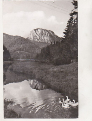 bnk cp Lacul Rosu - Vedere spre muntele Suhard - circulata foto