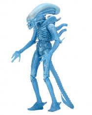 Aliens Action Figures 23 cm Series 11, Warrior Alien (Kenner) foto