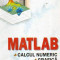 Matlab. Calcul numeric: grafica, aplicatii - Autor(i): Marin Ghinea, Virgiliu Fireteanu