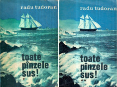 Toate panzele sus vol. I-II - Autor(i): Radu Tudoran foto