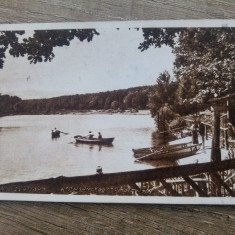 Sibiu, vedere din Parcul Dumbrava/ Carte postala, C.P., CP