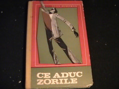 CE ADUC ZORILE- LUCIA DEMETRIUS-215 PG- foto