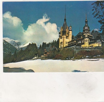 bnk cp Sinaia - Castelul Peles - necirculata foto