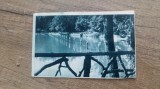 Sibiu, vedere din Parcul Dumbrava/ Carte postala, C.P., CP, Circulata, Fotografie