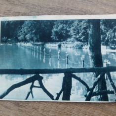 Sibiu, vedere din Parcul Dumbrava/ Carte postala, C.P., CP