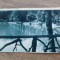 Sibiu, vedere din Parcul Dumbrava/ Carte postala, C.P., CP