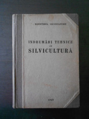 MINISTERUL SILVICULTURII - INDRUMARI TEHNICE IN SILVICULTURA {1949} foto