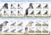 PASARI INTELIGENTE,MINISHEET 2017, MNH,ROMANIA., Fauna, Nestampilat