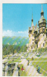 Bnk cp Sinaia - Castelul Peles - necirculata, Printata