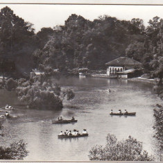 bnk cp Craiova - Lacul din Parcul poporului - circulata