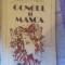 Gongul si masca-Mircea Belu
