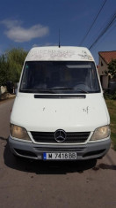 Vand duba Sprinter maxi 313 foto