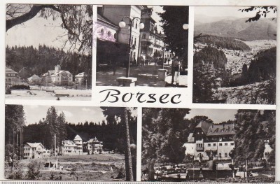 bnk cp Borsec - Vedere - circulata foto
