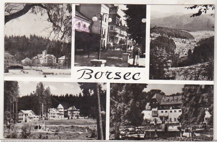 bnk cp Borsec - Vedere - circulata
