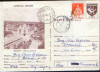 Romania - Intreg postal CP circulat,1984 - Salonta - Vedere generala, Dupa 1950