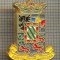 ZET 1203 INSIGNA - PRIEGO DE CORDOBA - ORAS IN SPANIA
