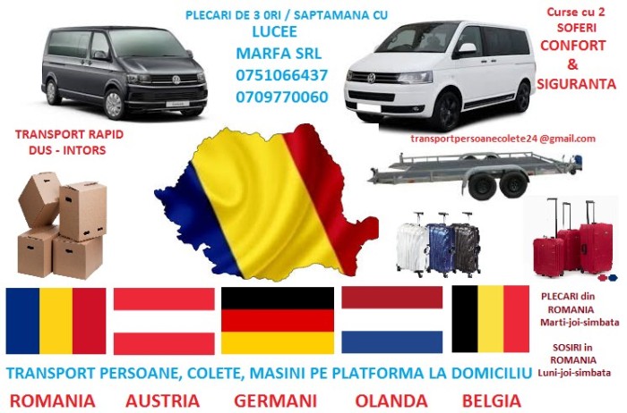 transport masini pe platforma foto mare transport masini pe platforma foto mare