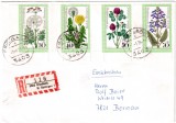 GERMANIA 1978, Flora