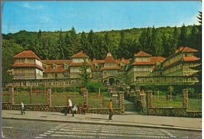CPI (B8938) CARTE POSTALA - SOVATA foto
