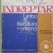INDREPTAR LIMBA SI LITERATURA ROMANA PENTRU CONCURSUL DE ADMITERE LICEE Macarie