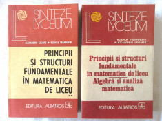 PRINCIPII SI STRUCTURI FUNDAMENTALE IN MATEMATICA DE LICEU, 2 vol., R. Trandafir foto