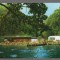 CPI (B8942) CARTE POSTALA - SOVATA, LACUL &quot;ALUNIS&quot;
