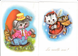 FELICITARE CARTE POSTALA , 2 BUC - 5