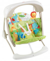 Leagan Si Scaun 2 In 1 Fisher Price foto