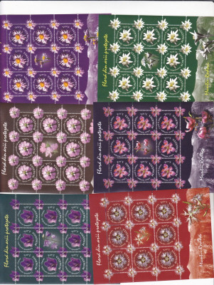 FLORI DIN ARII PROTEJATE,MUNTII RODNEI, MINISHEET,2009,MNH,ROMANIA. foto