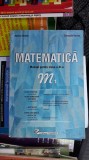 Cumpara ieftin MATEMATICA CLASA A XI A - BURTEA FILIERA TEHNOLOGICA , TEORETICA, VOCATIONALA ., Clasa 11