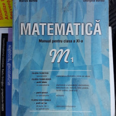 MATEMATICA CLASA A XI A - BURTEA FILIERA TEHNOLOGICA , TEORETICA, VOCATIONALA .