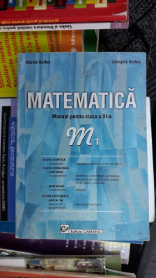 MATEMATICA CLASA A XI A - BURTEA FILIERA TEHNOLOGICA , TEORETICA, VOCATIONALA . foto